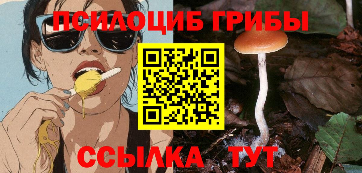 Галлюциногенные грибы GOLDEN TEACHER  Вход с VPN  Галлюциногенные грибы Magic Shrooms  Солнечногорск 